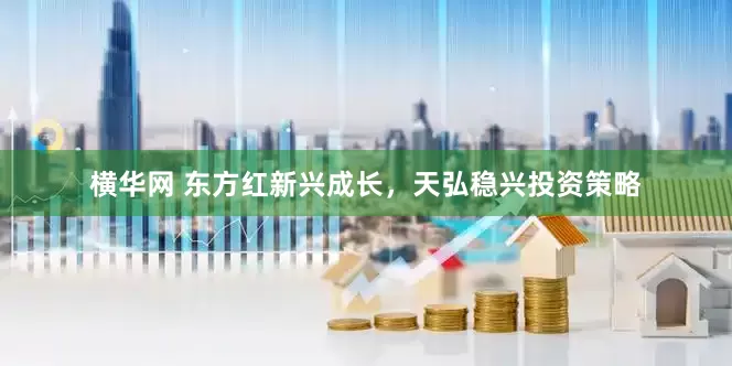 横华网 东方红新兴成长，天弘稳兴投资策略